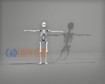 Figur Mann Knochen.jpg